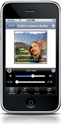 Pocket Spanish